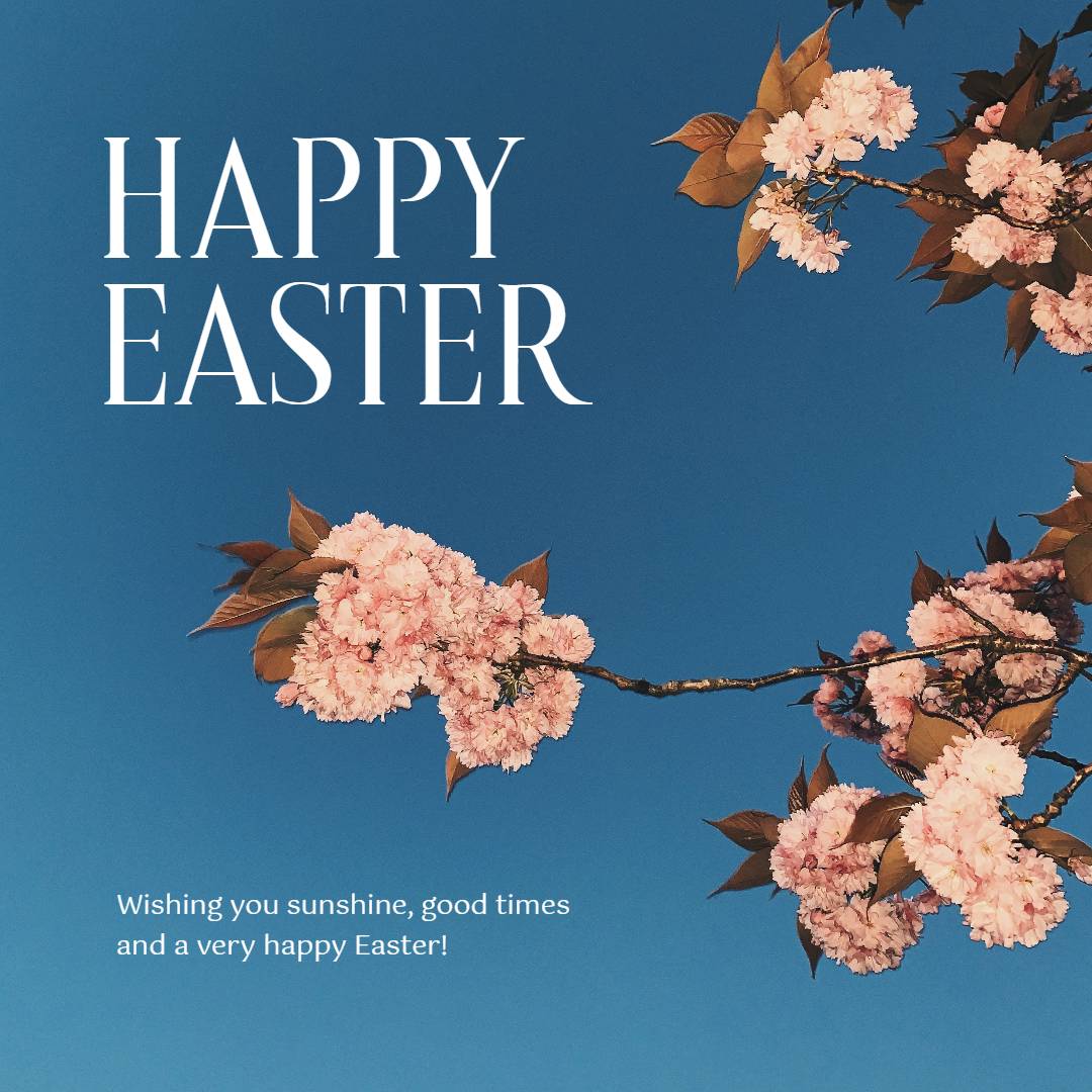 blue background pink flower ins template