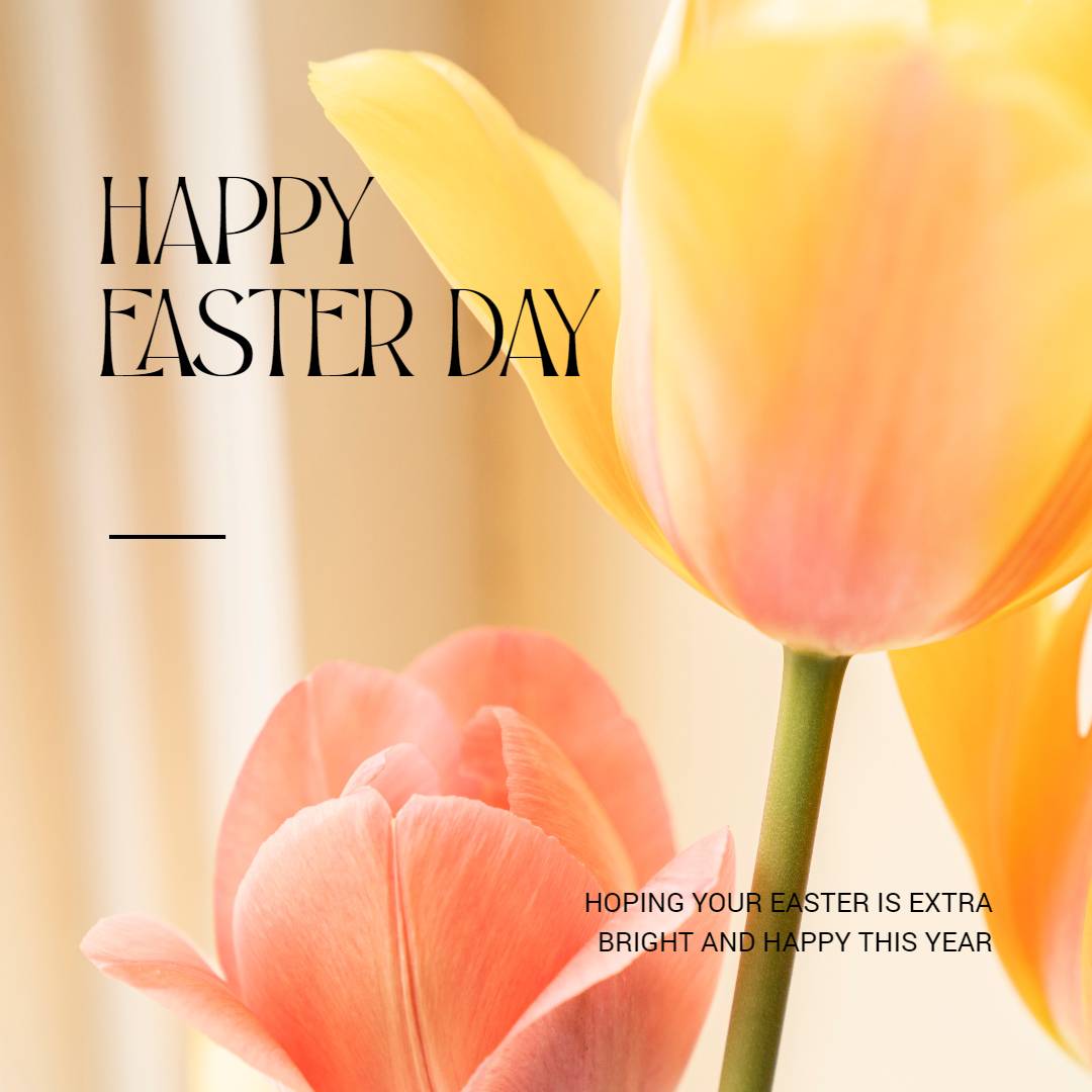 colorful flower ins template