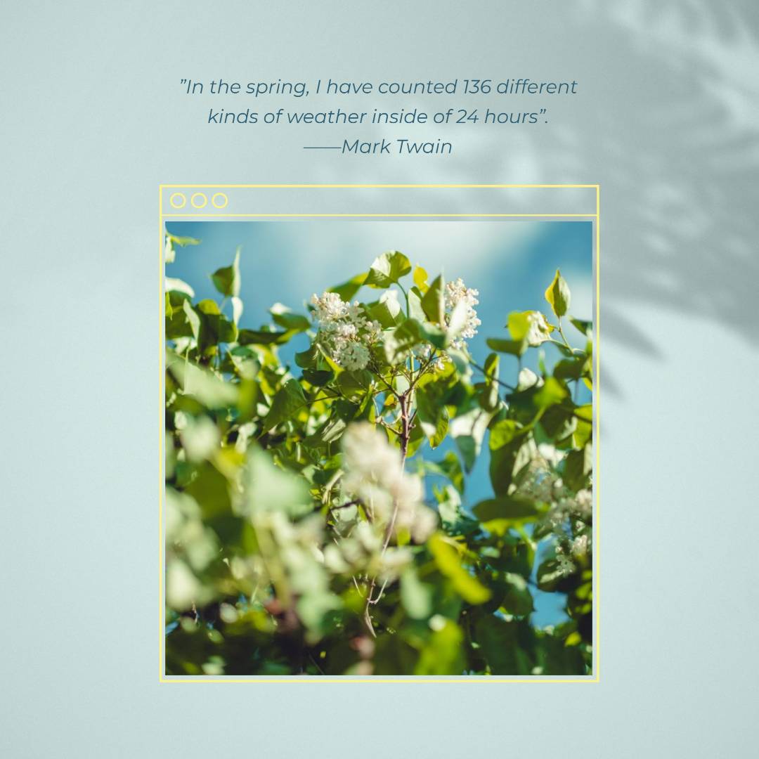 best aesthetic captions for instagram in green