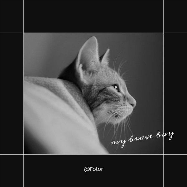 black-minimalist-pets-photo-instagram-post-template-from-Fotor