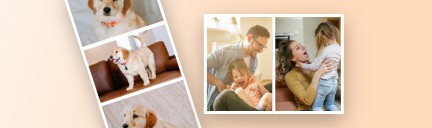 Banner image of Fotor free online side by side photo maker for mobile