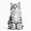 Thumbnail image featuring a cute cat