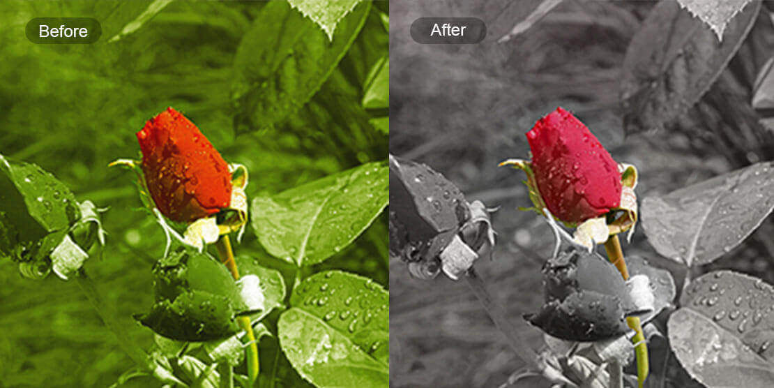 02 Color splash