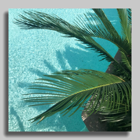 ajouter un cadre photo ombré à une photo d'un arbre près d'une piscine