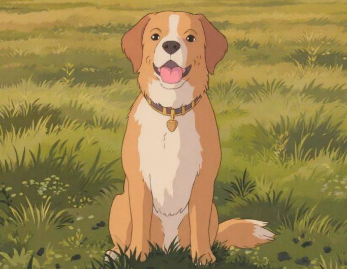 Pet Anime