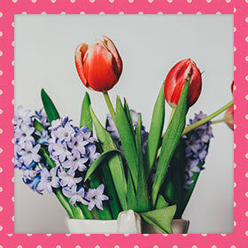 Cute 03 frames