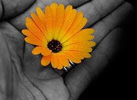 Color splash 3