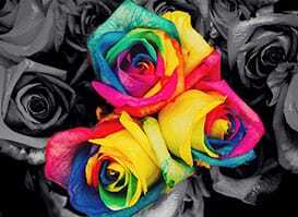 Color splash 6