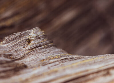 Feature tilt shift gallery 1