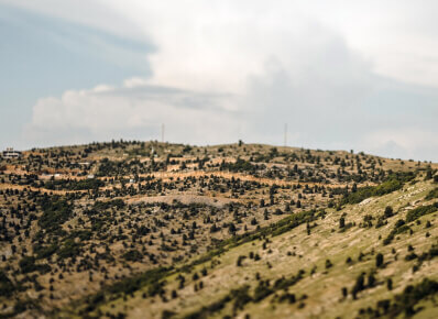 Feature tilt shift gallery 5