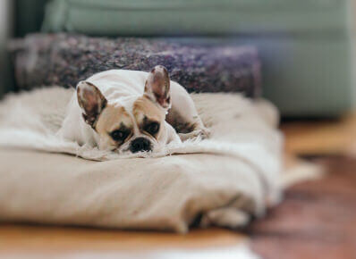 Feature tilt shift gallery 6