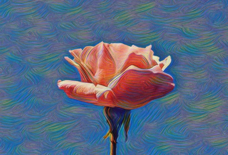 Converti la foto del fiore in fumetto