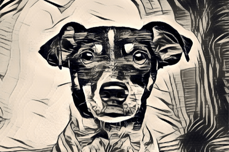 sketch of a puppy