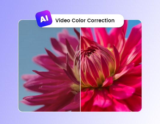 AI automatically corrects the color of the flower video