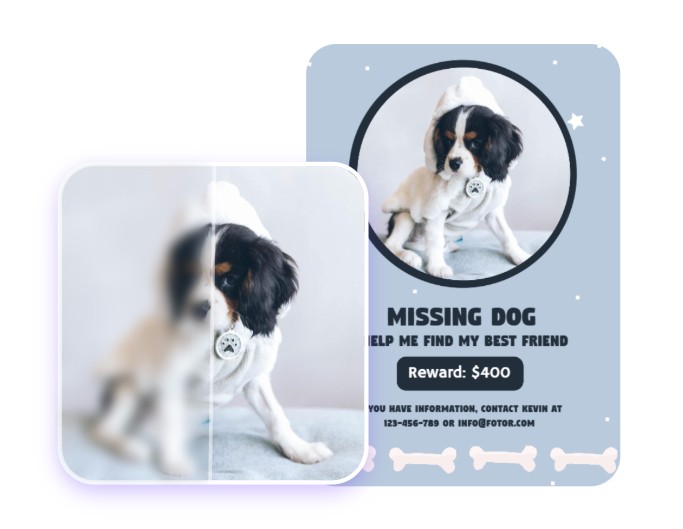Amélioration d'une affiche visant à retrouver un chien perdu blanc avec des taches noires