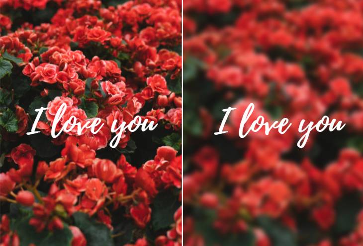 Blur image background to make the text more legible and prominent using Fotor image blur tool