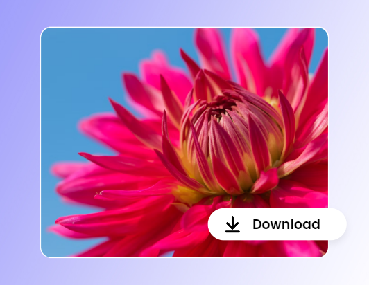 Download the flower video after correcting its lively colors