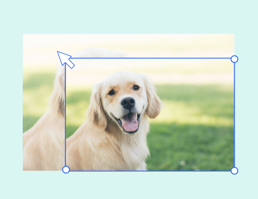 Redimensionar uma imagem de cão com Fotor