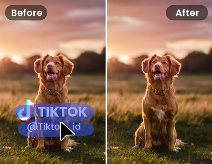 Remove Tiktok video watermark