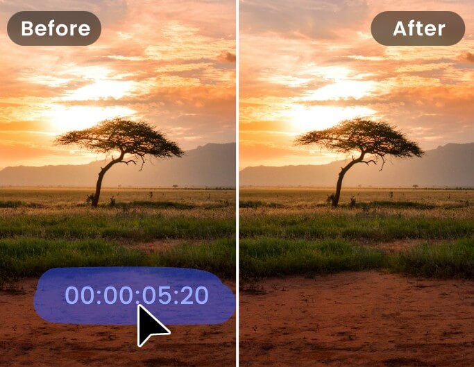Remove time stamp from video