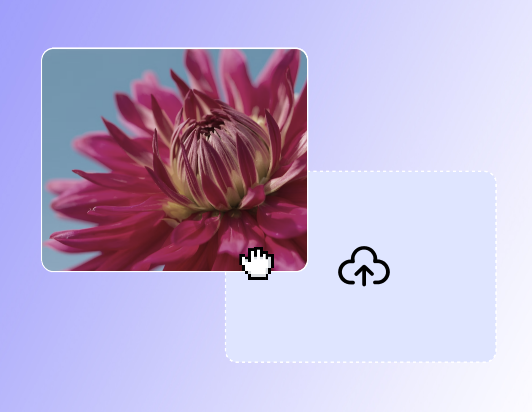 Upload the flower video to Fotors video color correction tool
