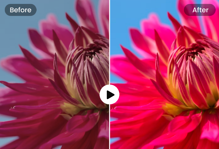 Correction des couleurs de vidéo