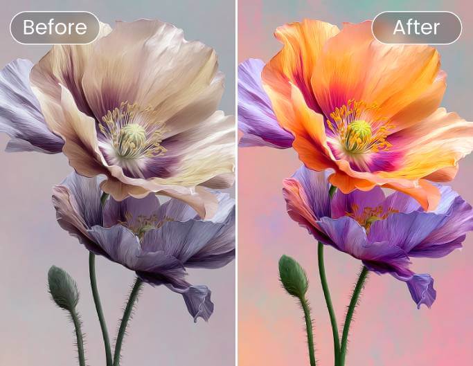 Batch enhance image brightness and colors