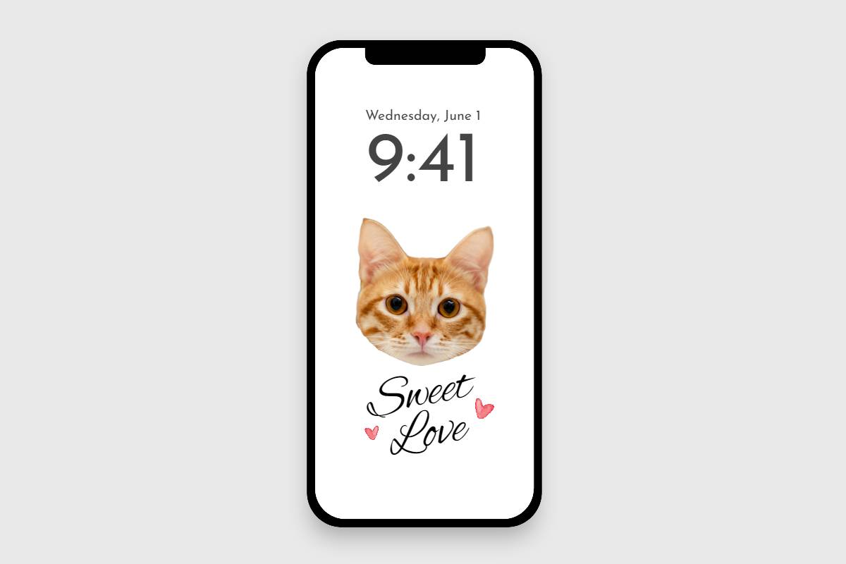 Fondo de pantalla con cara de gato recortada para celular