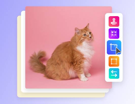 Choose the batch crop tool
