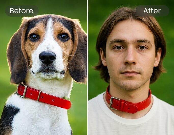 Convert a beagle to man with ai pet converter