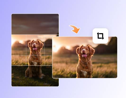 Das Hundefoto im Hochformat auf Querformat zuschneiden