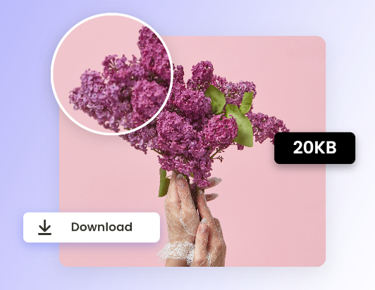 Download the compressed 20kb photo