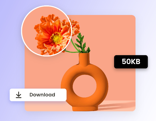 Download the compressed 50kb image