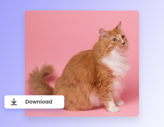 Download the cropped cat image