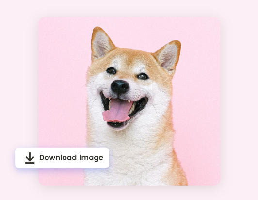 適用してダウンロード