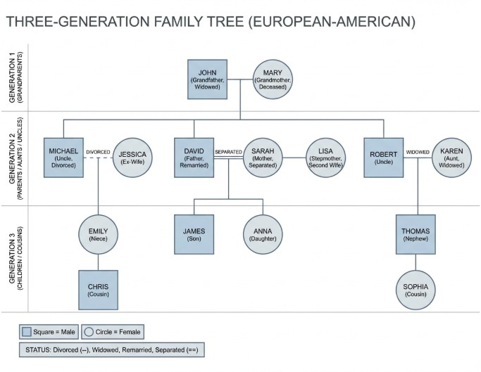 Family therapy genogram