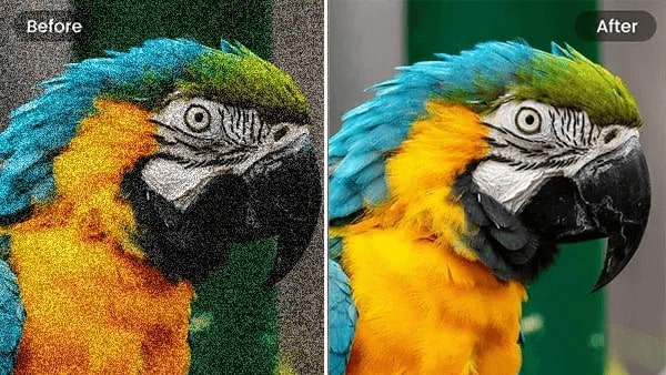 Verwijder beeldruis en artefacten met Fotor foto verbeteren om snel de beeldkwaliteit te verbeteren
