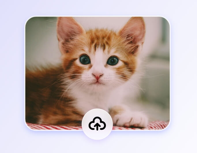 Step 1 upload a cat photo to Fotor AI pet to human generator