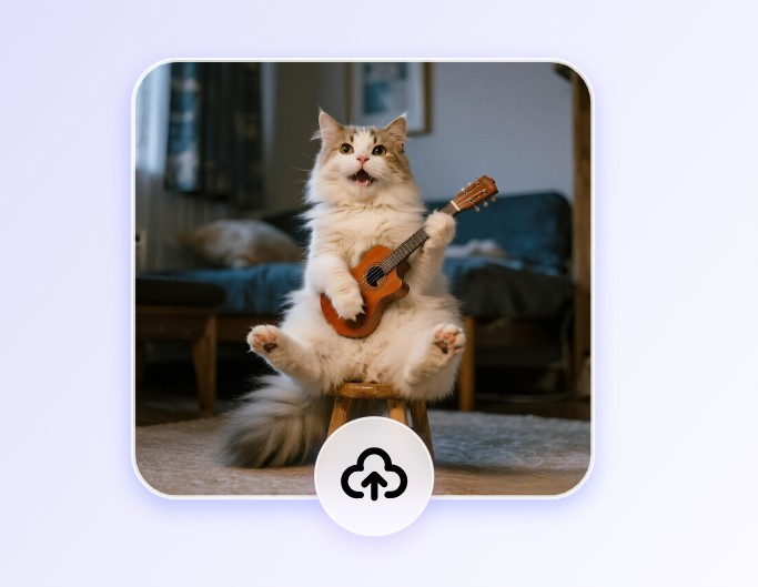 写真をアップロード