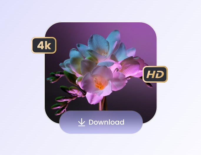 Paso 3 descargar foto mejorada en calidad hd o 4k sin marcas de agua