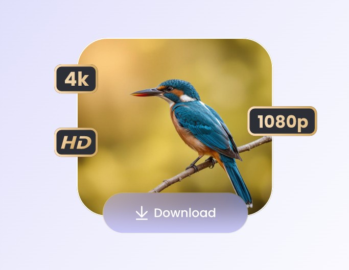 Step 3 downloading the high-definition photo for professional printing or social media