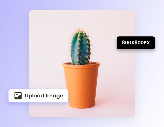 Upload 800 pixels photo to fotor 3000 3000 image converter