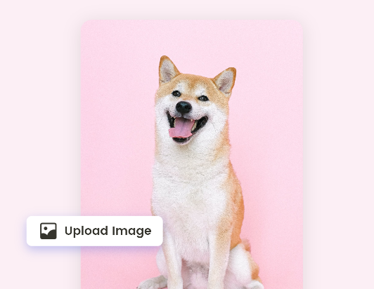画像をアップロード