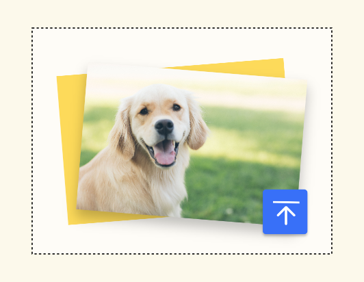 Caricare l'immagine di un cane su Fotor per il ridimensionamento