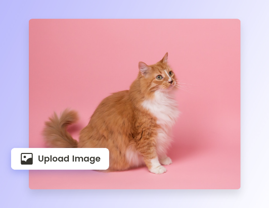 Upload cat image to fotor online image cropper