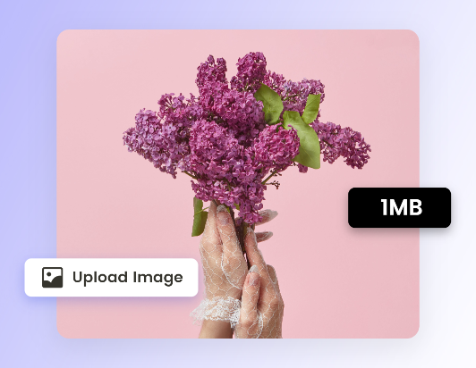 Upload an image in 1mb on fotor to compress