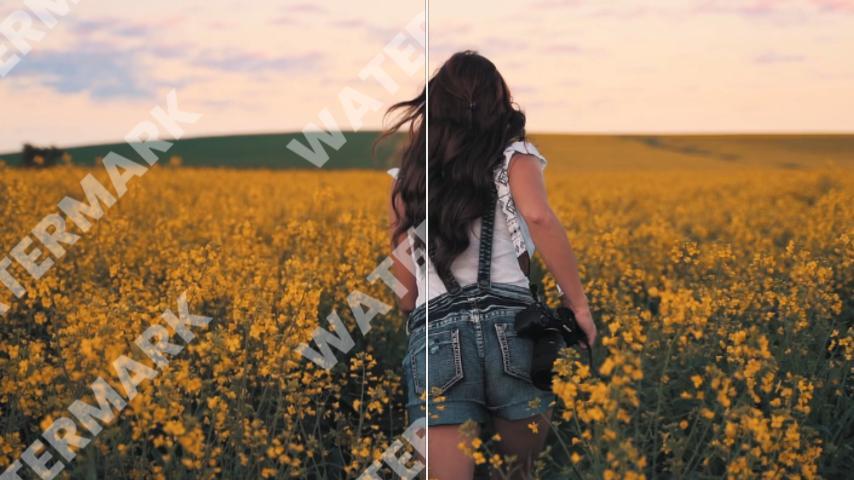 Remove watermark from video online free in seconds with Fotor AI video watermark remover