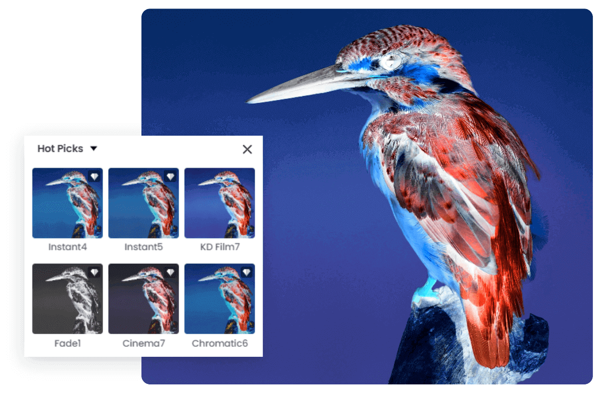 鳥の画像にフィルターを追加する