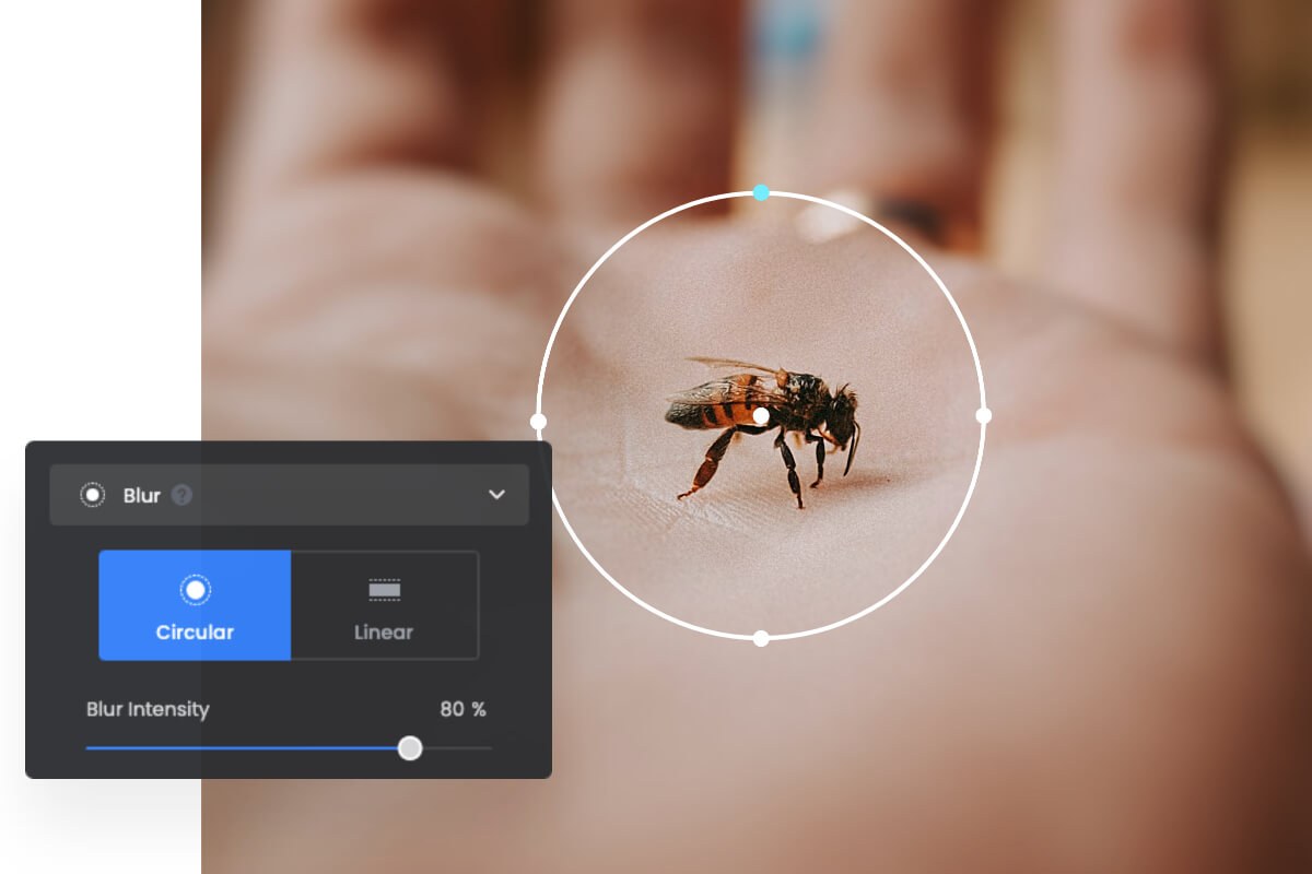 Desenfocar el fondo de una foto de abeja con la herramienta de desenfoque circular