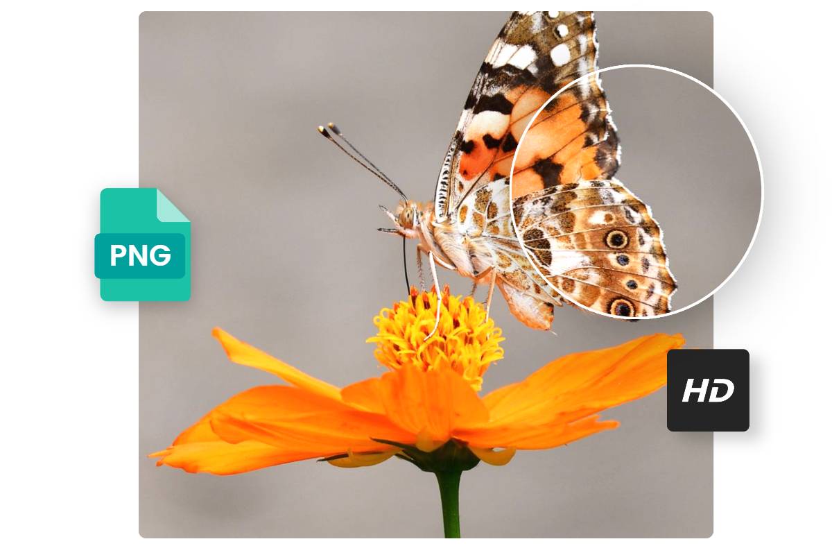 Convert image online without losing quality